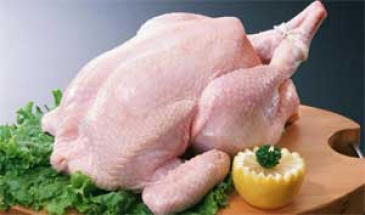 مدیرعامل اتحادیه سراسری مرغداران کشور در گفت و گو با ایرنا  مبنای قیمت گذاری 8175 تومانی گوشت مرغ اشتباه است