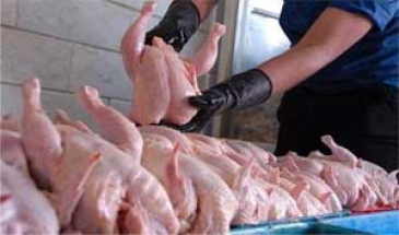 تشریح دلایل افزایش سه مرحله‌ای قیمت مرغ
