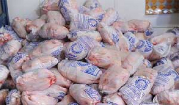 یک مسئول در اداره‌کل دامپزشکی استان زنجان:  کیفیت مرغ های بسته‌بندی، رده‌بندی می‌شود