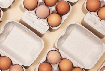 Egg Packaging (Kavok brand)